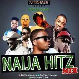 DJ Faruq - Naija Hitz Mixtape